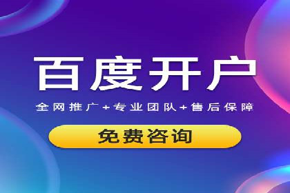 百度竞价广告运营全解析：成功案例揭秘